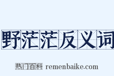 野茫茫反义词是什么意思的图片